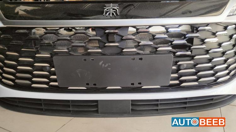 Body  Grilles BYD Qin