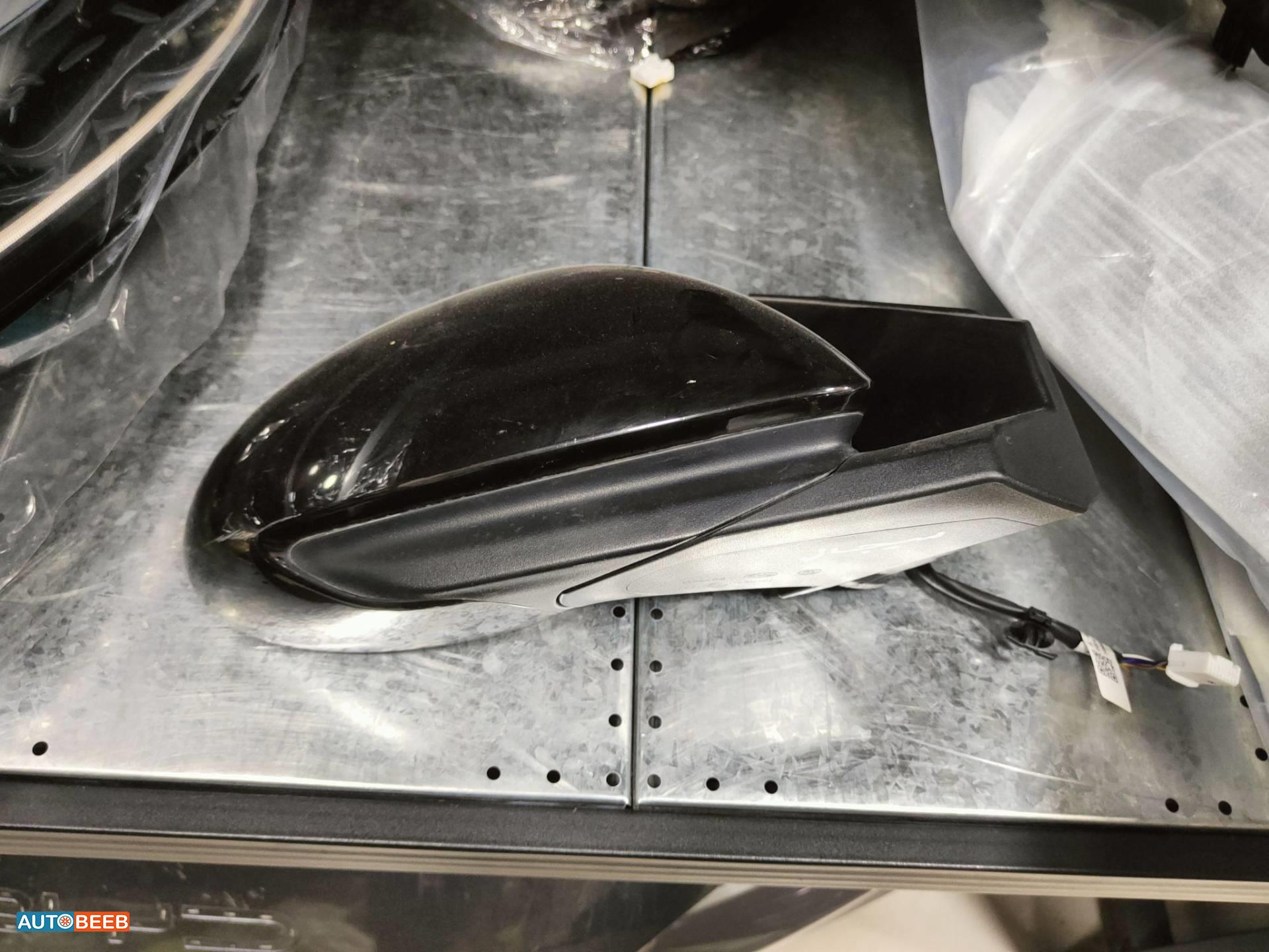 Body  Wing Mirror BYD Seagull