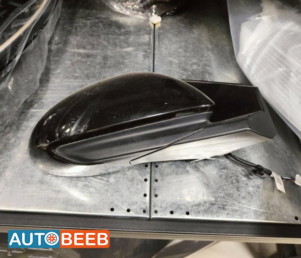 Body  Wing Mirror BYD Seagull