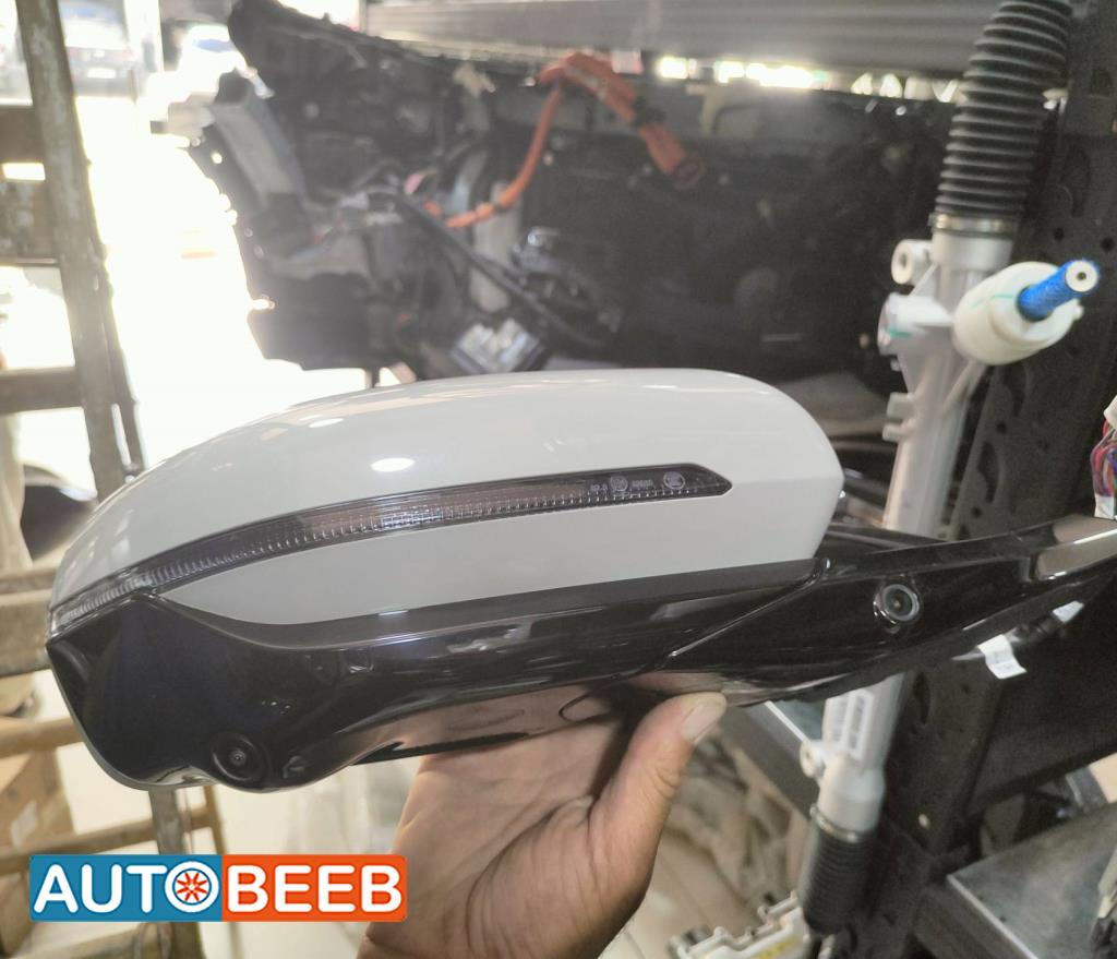 Body  Wing Mirror BYD Song Plus