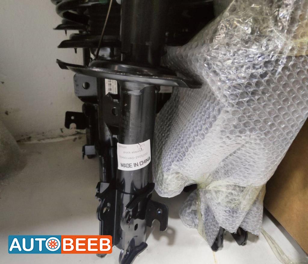  Shock Absorber BYD Destroyer 05
