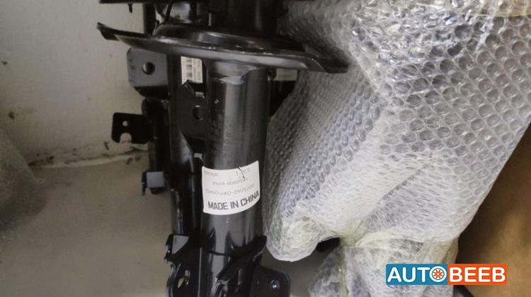 Shock Absorber BYD Destroyer 05