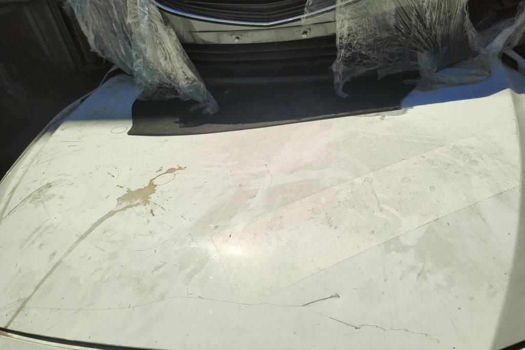 Body  Hood Mazda 3