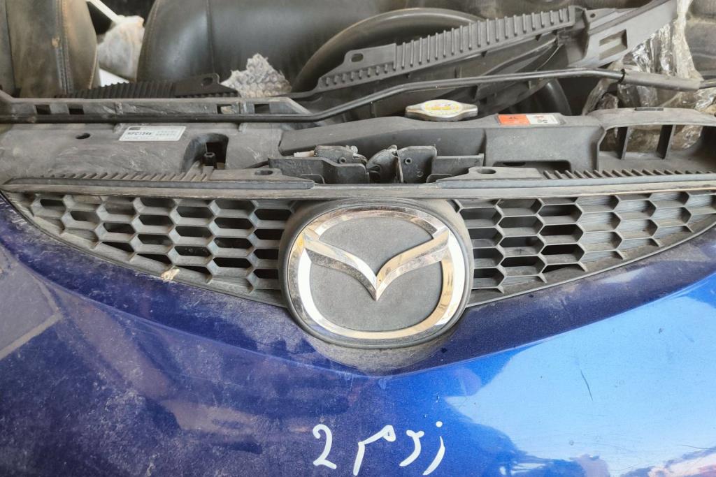 Body  Grilles Mazda 2