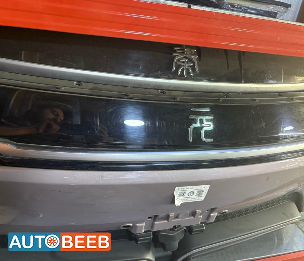 Body  Grilles BYD Yuan
