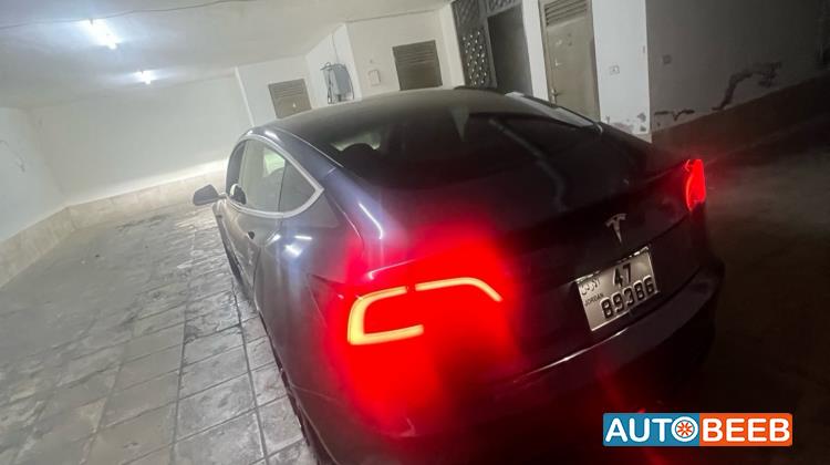 Tesla 3 2018