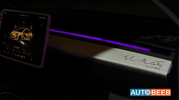 Tesla 3 2023
