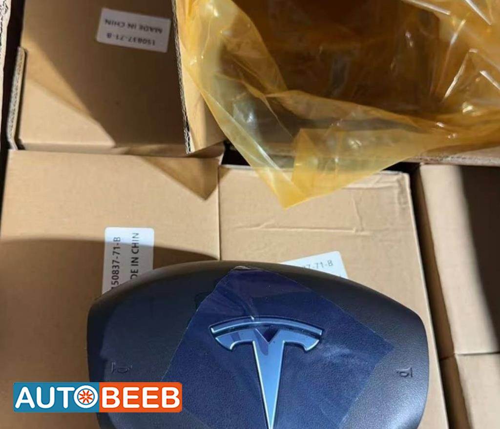 Cabin  Steering Wheel Tesla 3