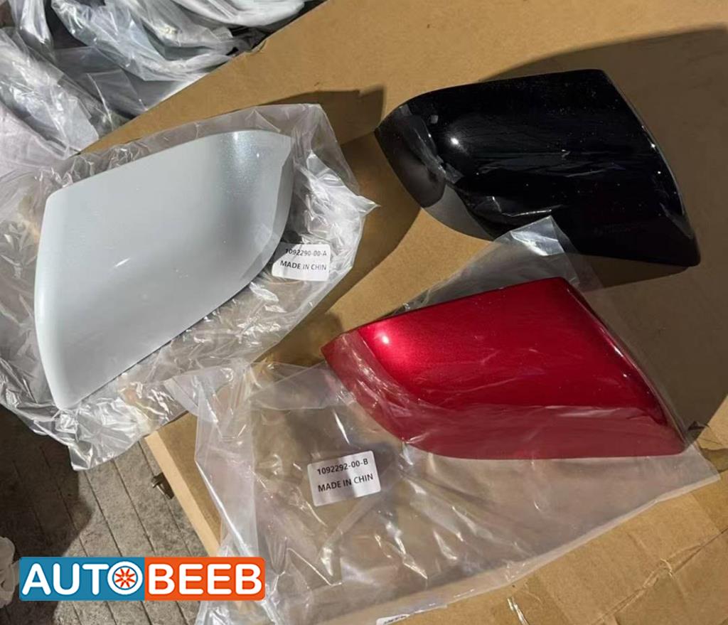 Body  Wing Mirror Tesla 3