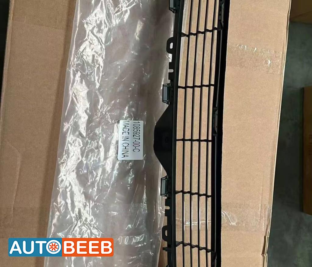 Body  Grilles Tesla 3