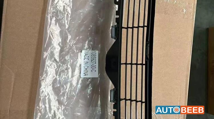 Body  Grilles Tesla 3