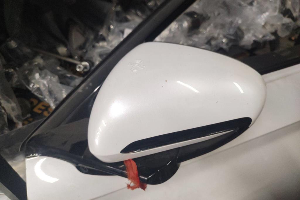 Body  Wing Mirror BYD Qin