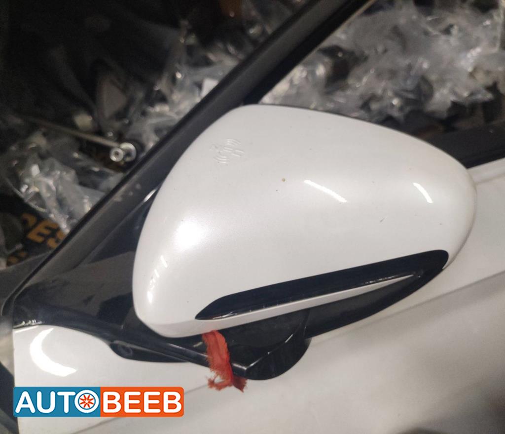 Body  Wing Mirror BYD Qin