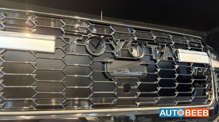 Body  Grilles Toyota Land Cruiser