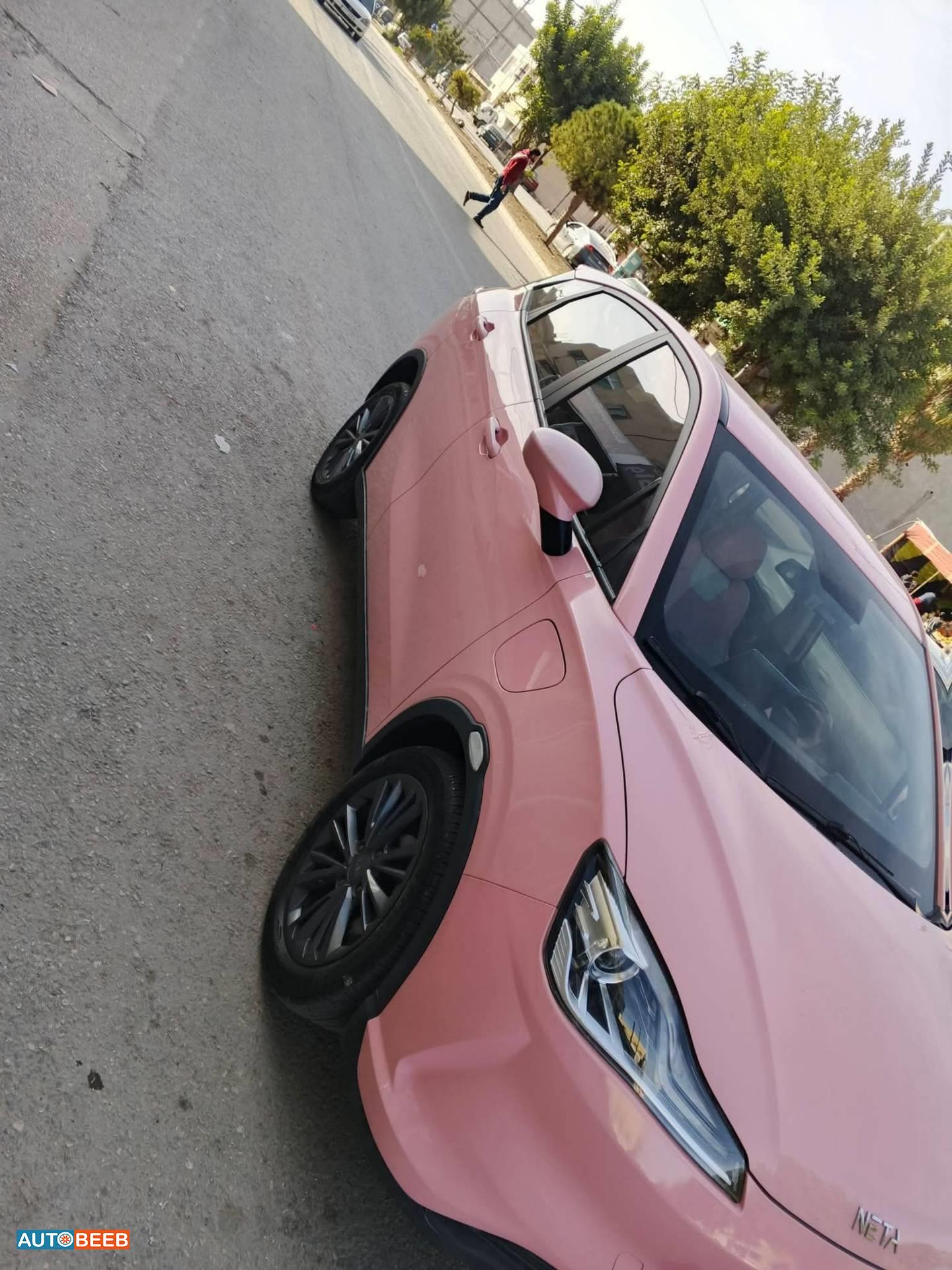 نيتا V 2022