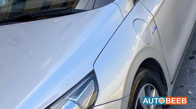 Hyundai Ioniq 2019