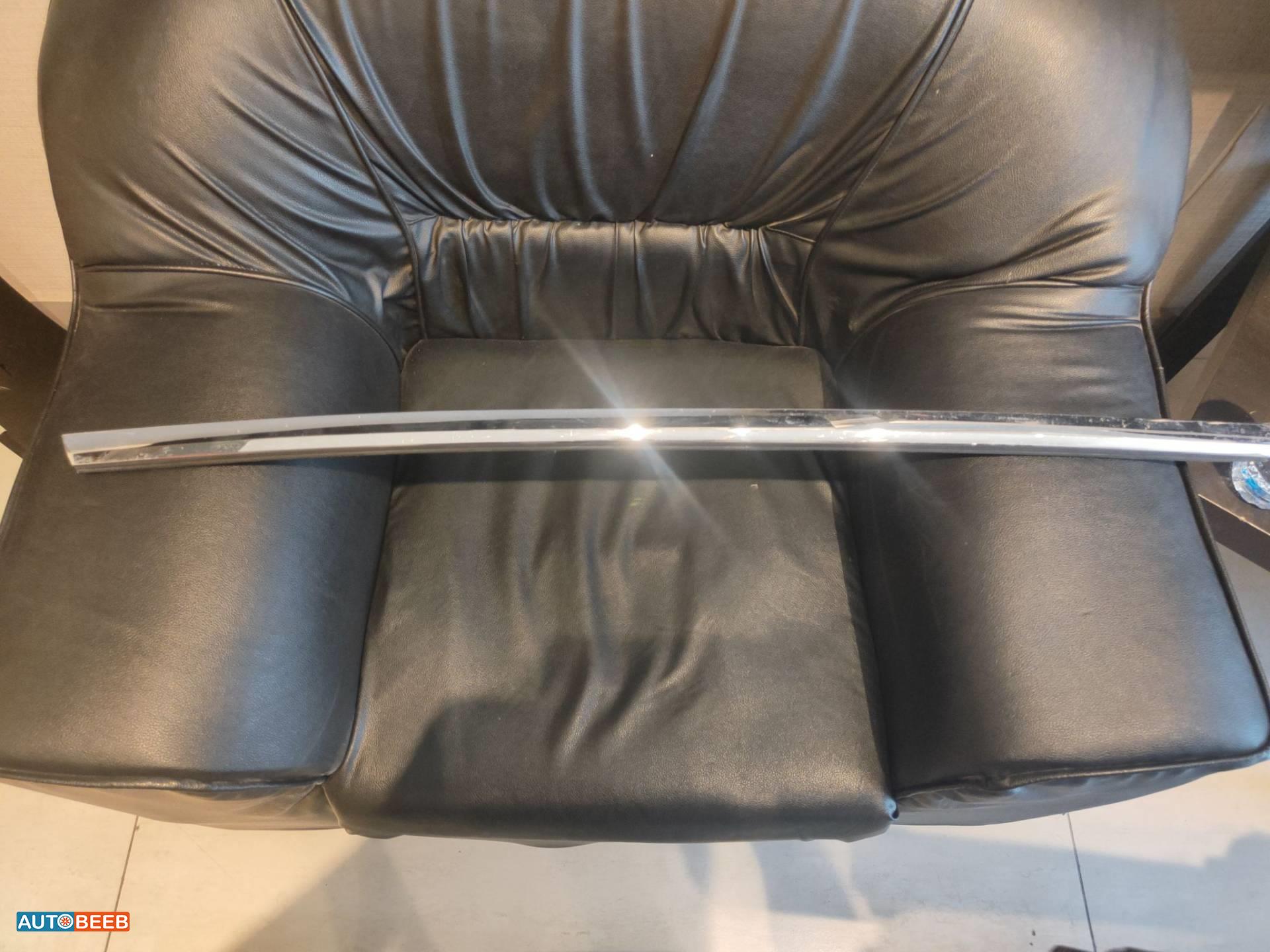 Body  Other Tesla 3