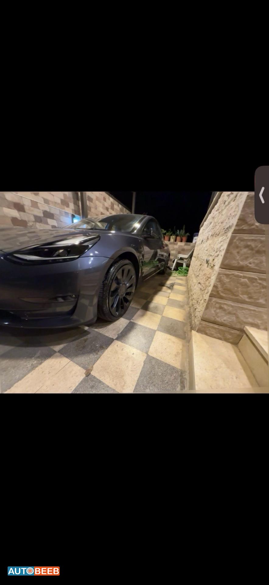 Tesla 3 2022