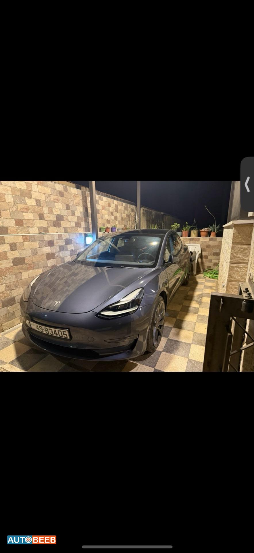 Tesla 3 2022
