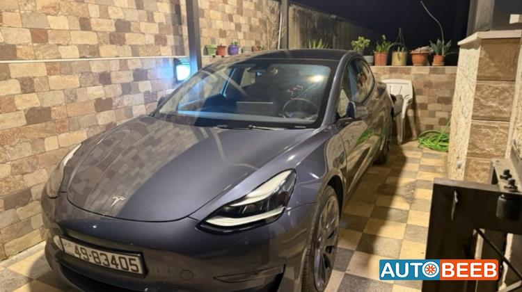 Tesla 3 2022