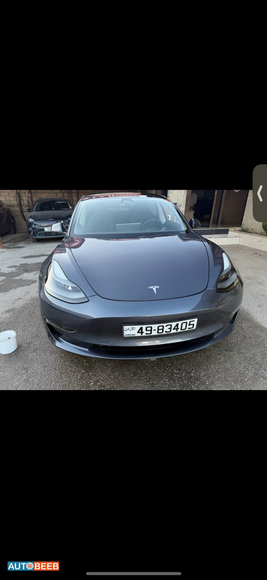 Tesla 3 2022
