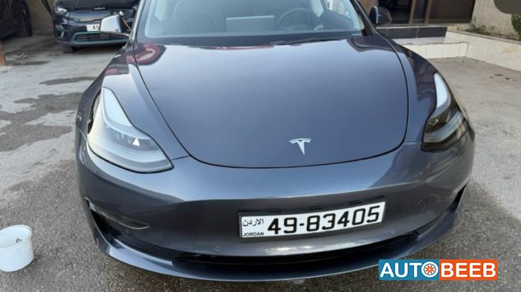 Tesla 3 2022