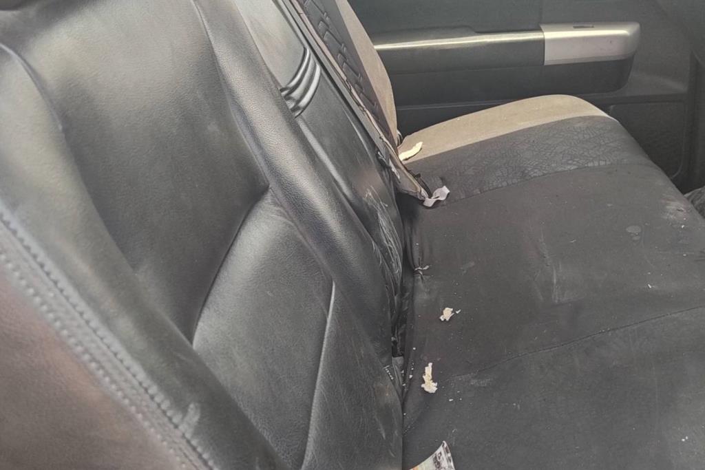 Cabin  Seat Toyota Tundra