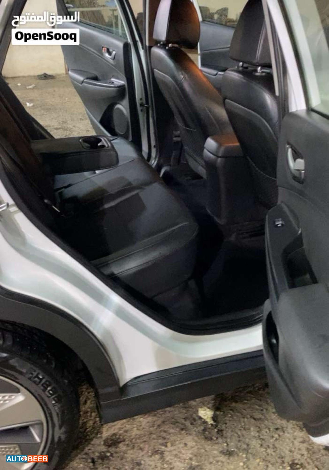 Hyundai kona 2019