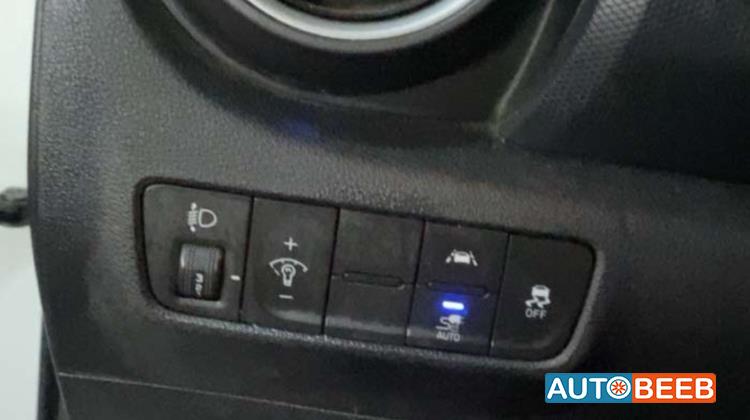 Hyundai kona 2019