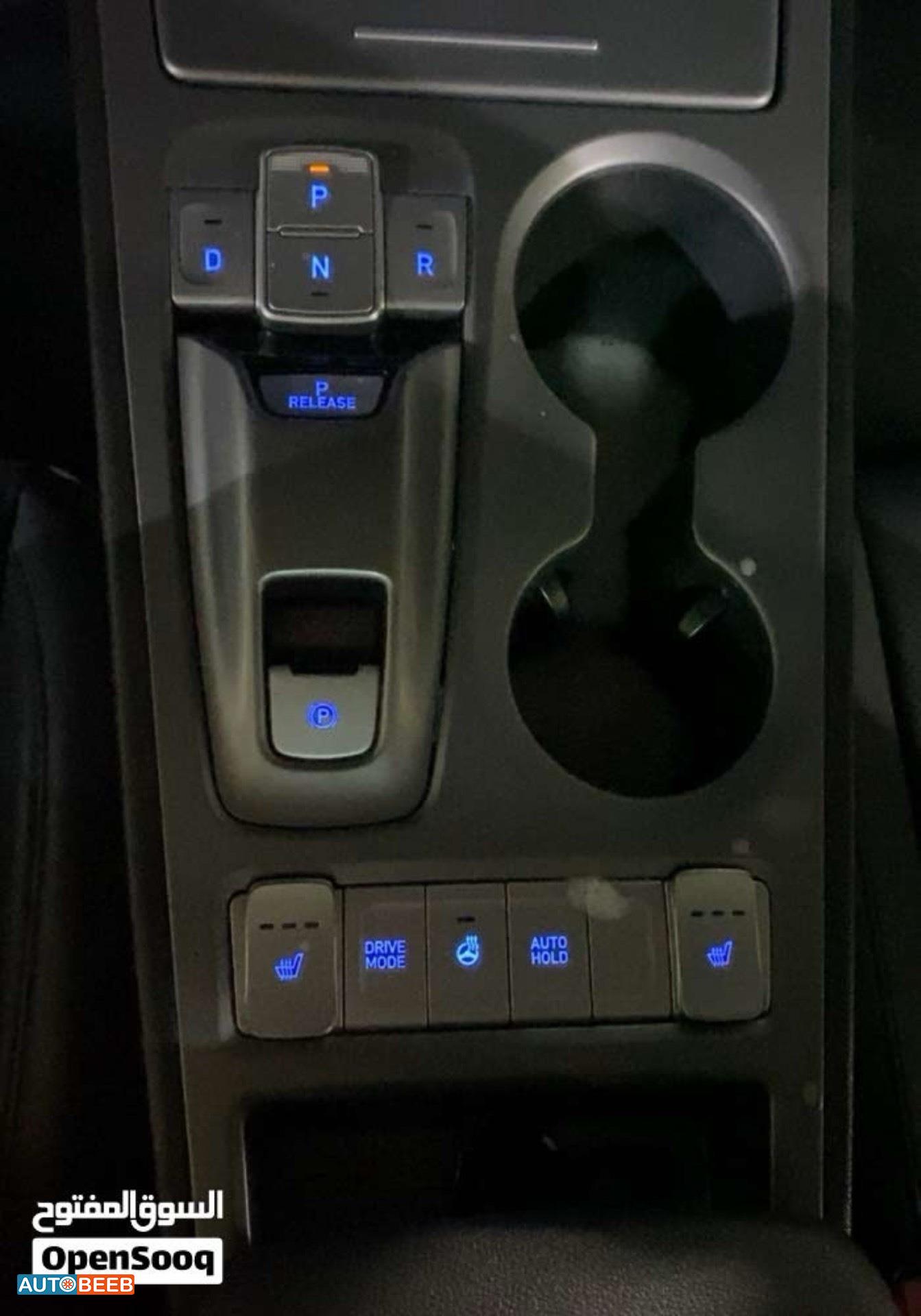 Hyundai kona 2019