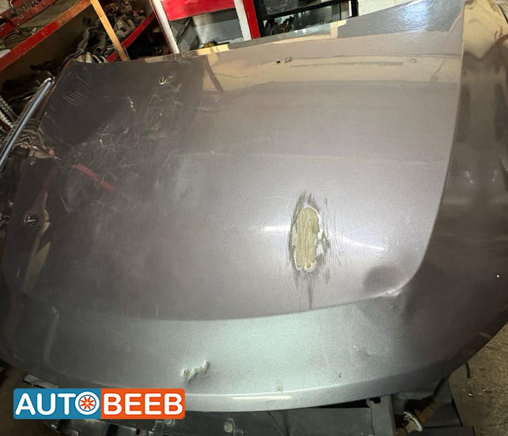 Body  Hood Lincoln MKZ