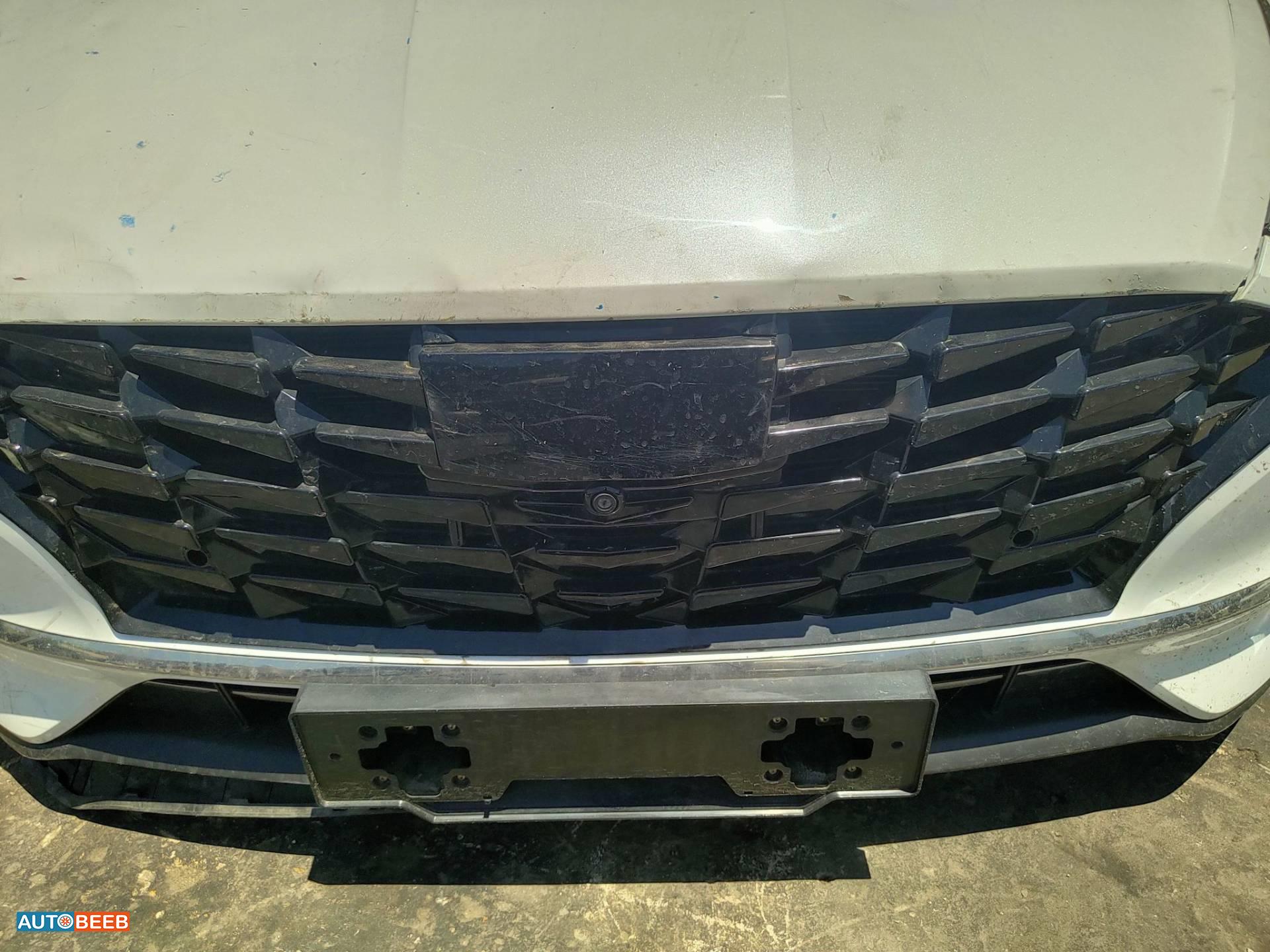 Body  Grilles Hyundai Sonata