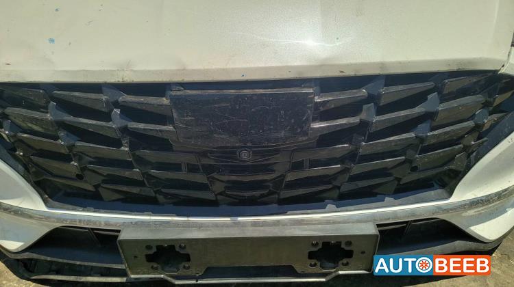 Body  Grilles Hyundai Sonata