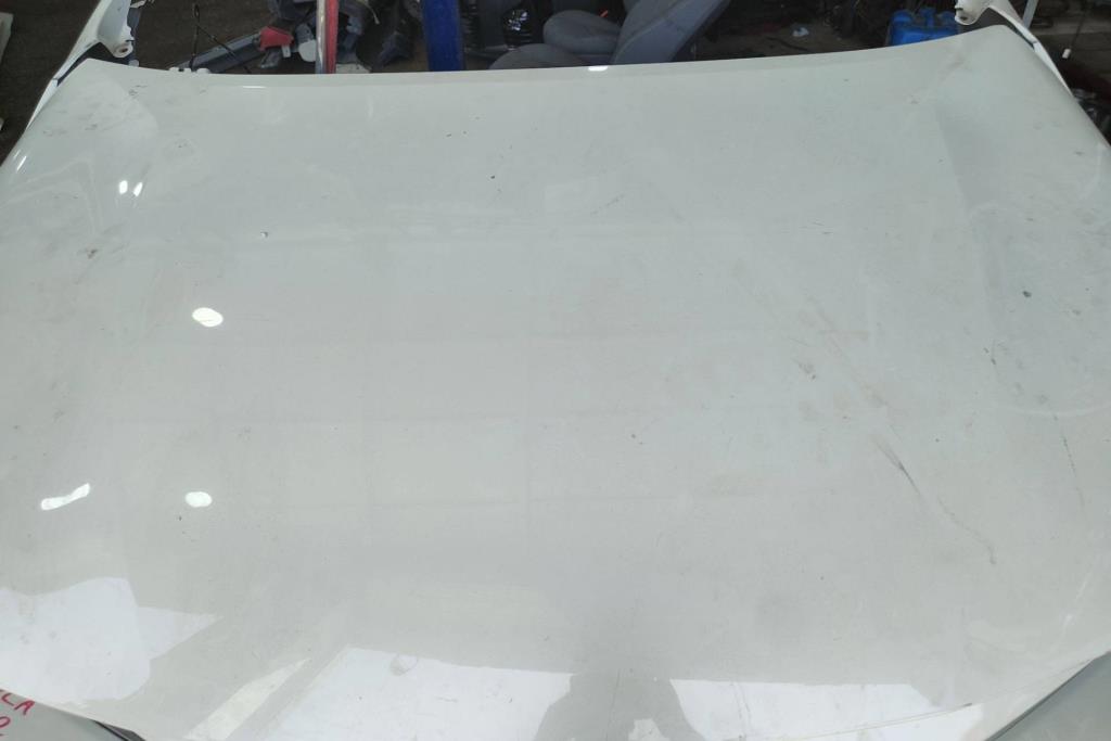 Body  Hood Toyota Corolla