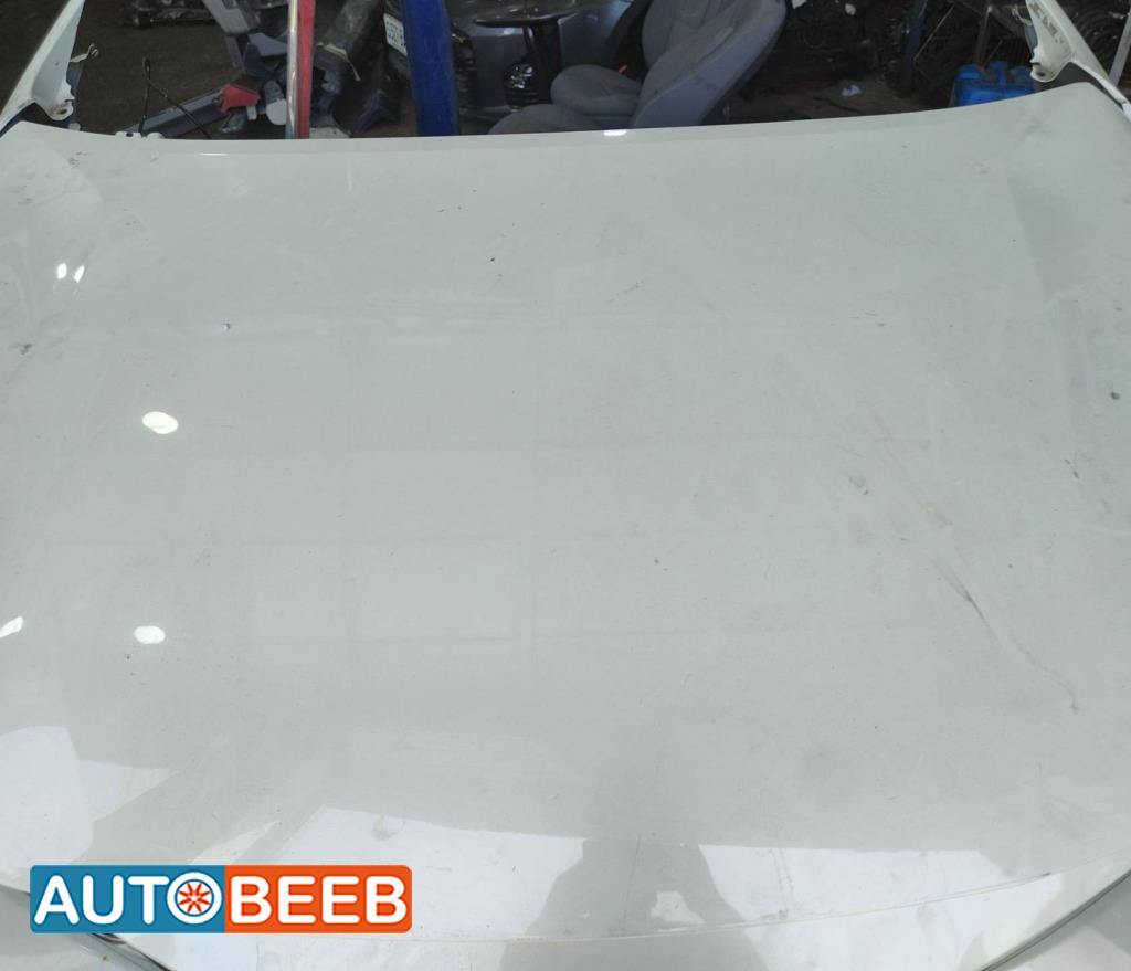 Body  Hood Toyota Corolla