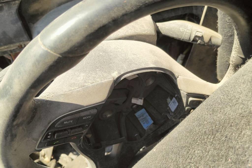 Cabin  Steering Wheel KIA Niro