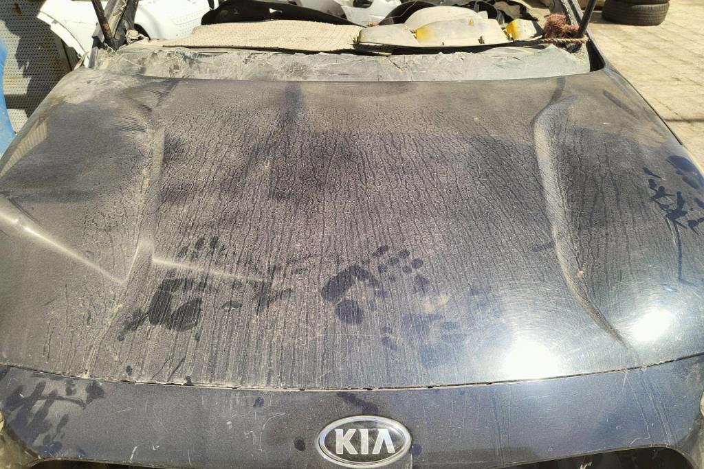 Body  Hood KIA Niro