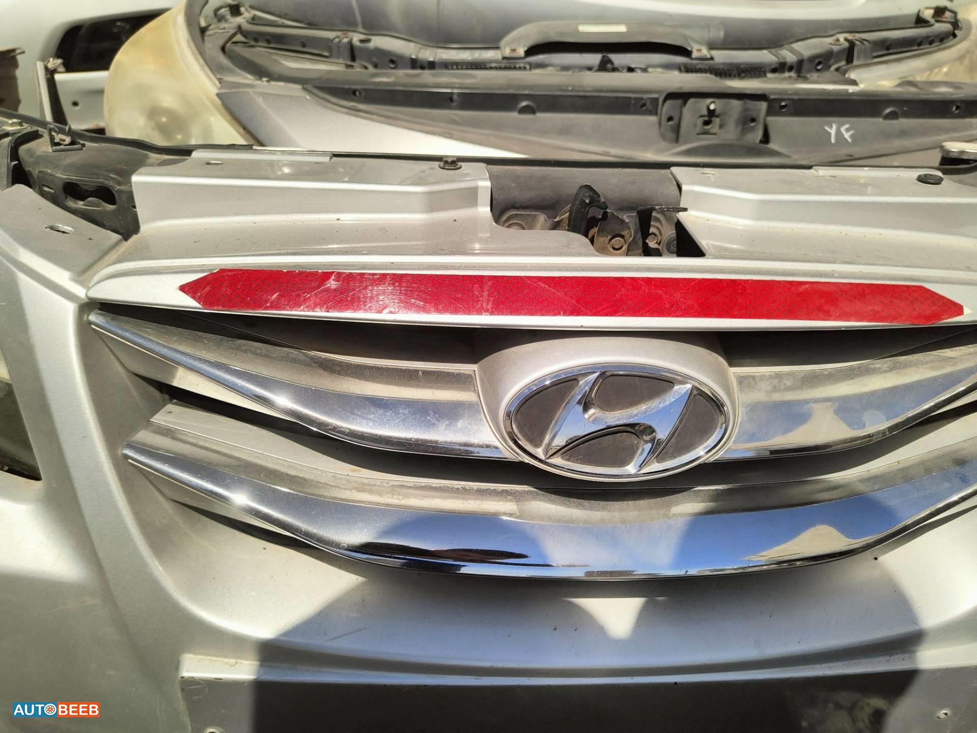 Body  Grilles Hyundai Avante