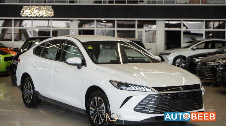 BYD Qin 2025