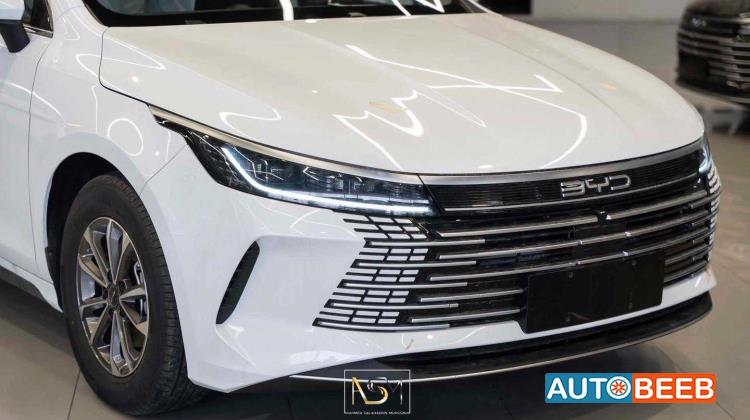 بي واي دي ديستروير 2025