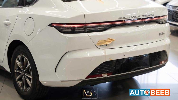 بي واي دي ديستروير 2025