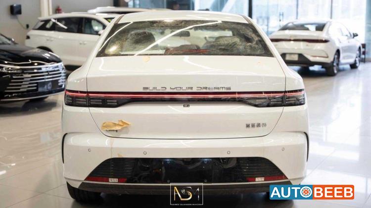 بي واي دي ديستروير 2025