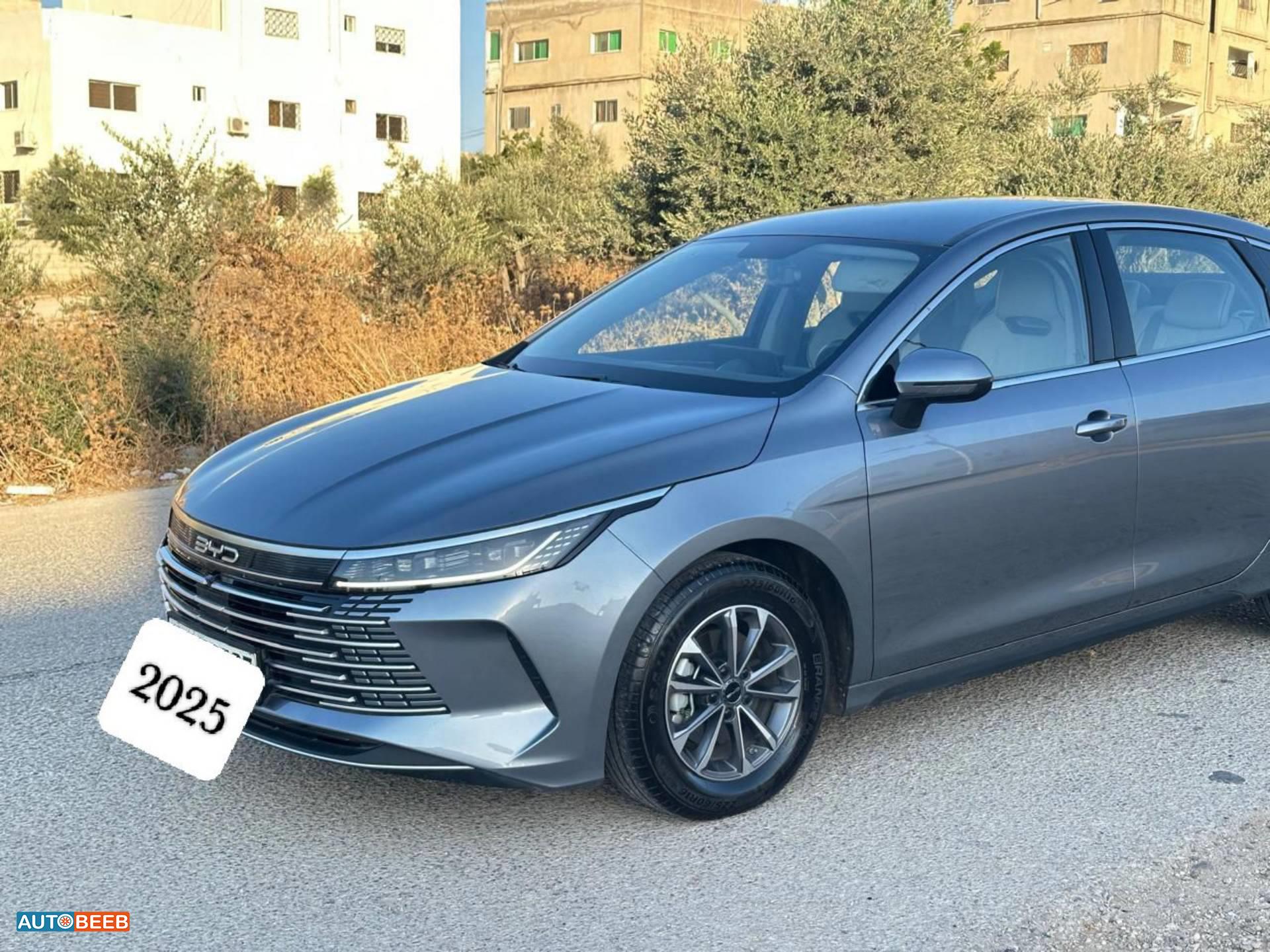 بي واي دي ديستروير 2025