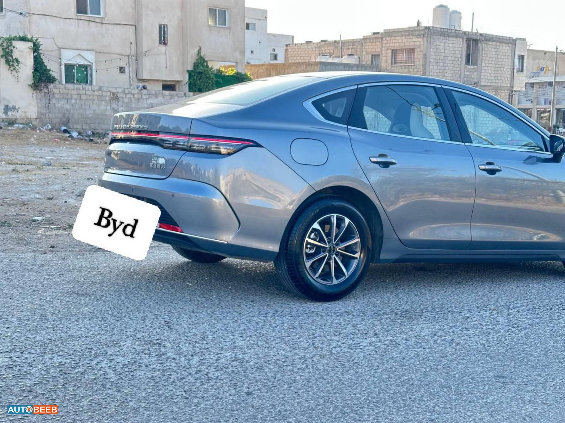 بي واي دي ديستروير 2025