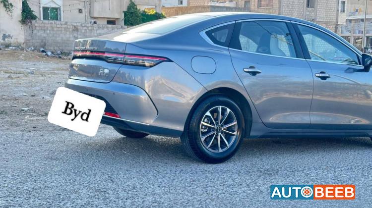 بي واي دي ديستروير 2025