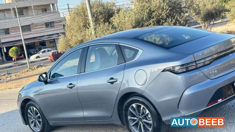 بي واي دي ديستروير 2025