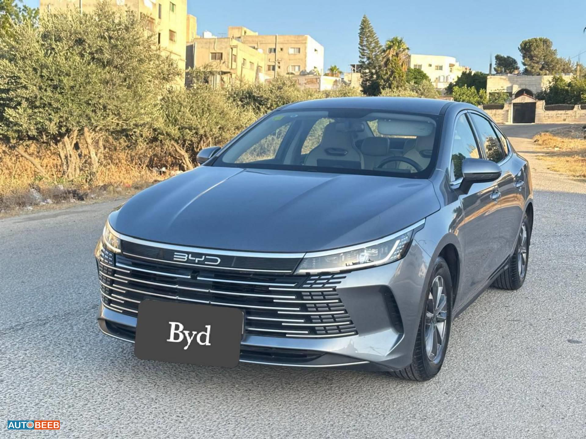 بي واي دي ديستروير 2025