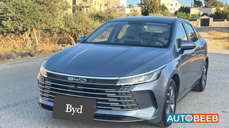 بي واي دي ديستروير 2025