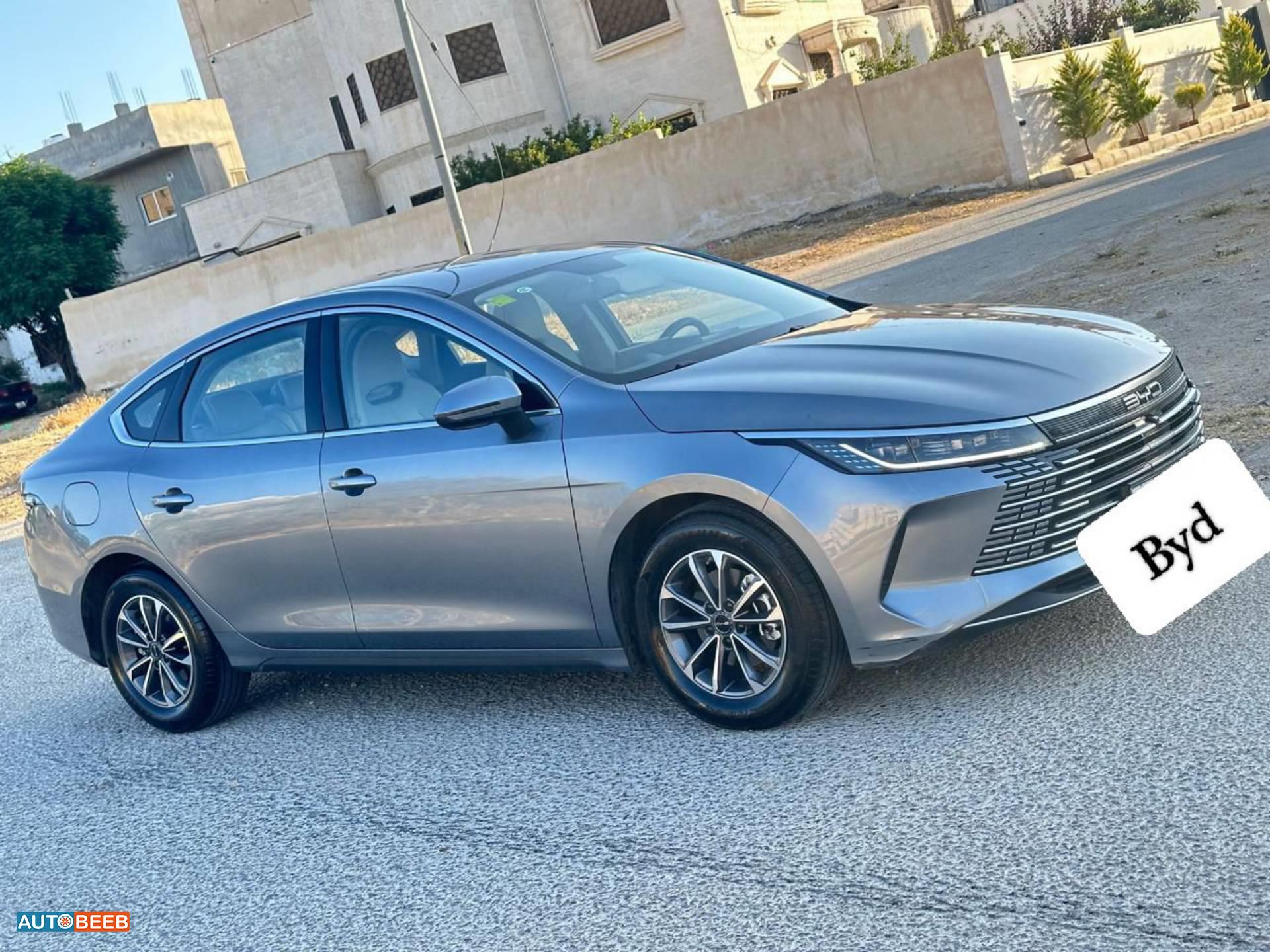بي واي دي ديستروير 2025