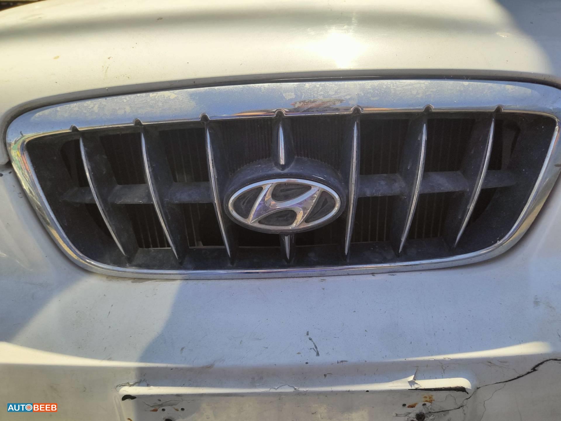 Body  Grilles Hyundai Avante